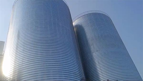 临朐2座混凝土高架卷板仓